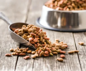 Karma sucha dla kota